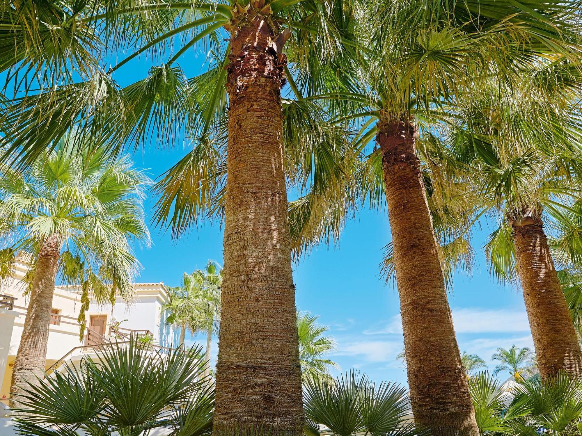 Grecotel Marine Palace & Aqua Park 레팀노 외부 사진
